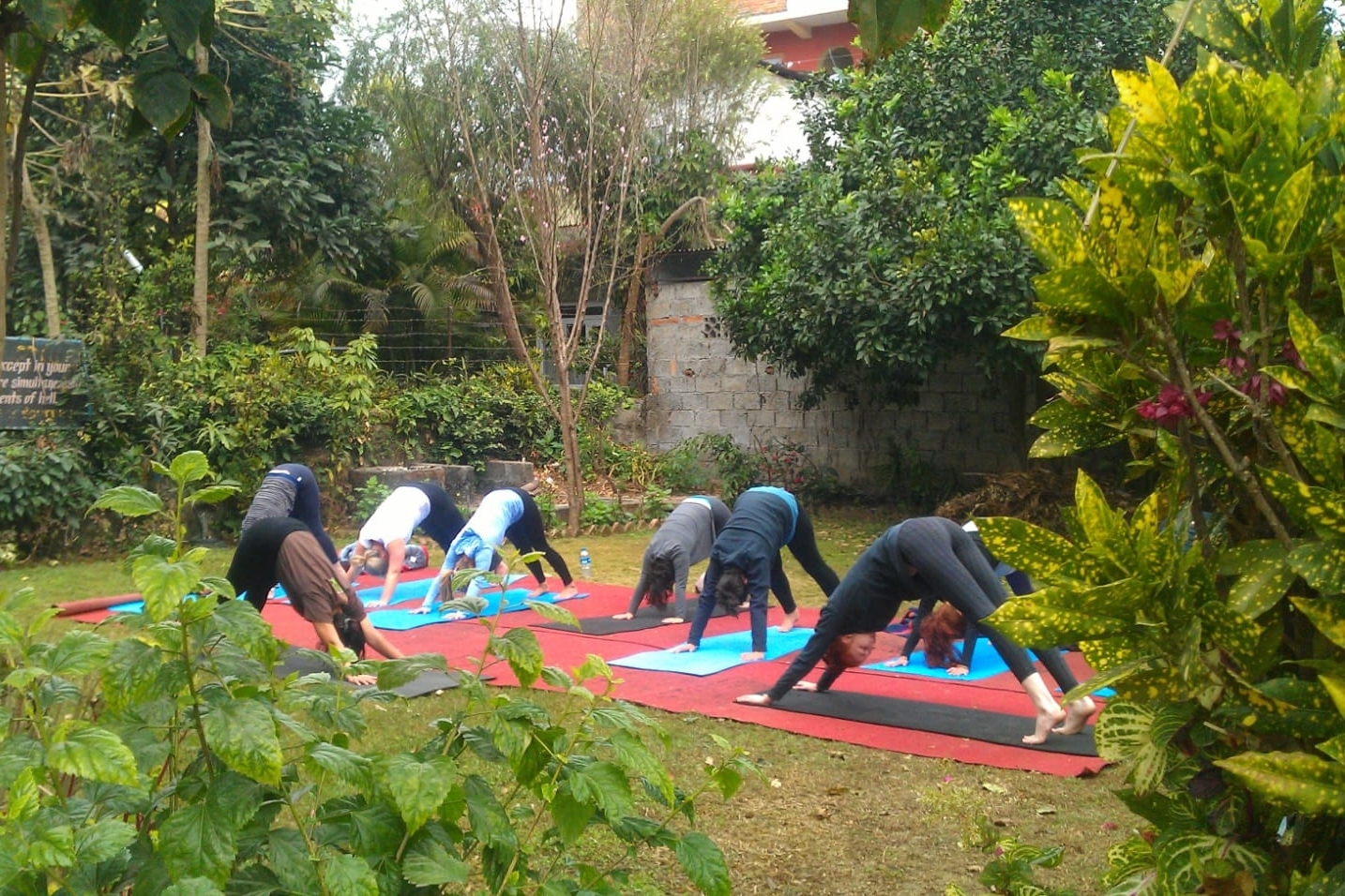 Yoga Session